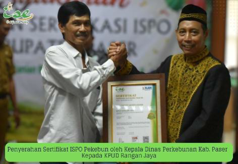 Berita Sertifikasi ISPO untuk Koperasi Paser Dok 3